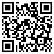 轻量版app