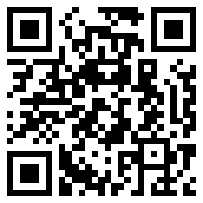 血战长空下载
