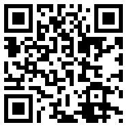 帮派犯罪盗窃之城0.9.11