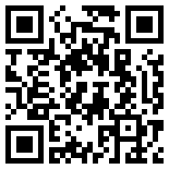 卡在墙中的少女中文版