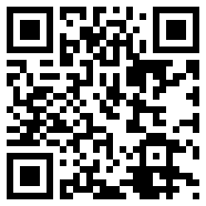 CHAT GPT 国内版