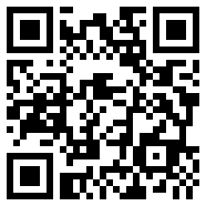 轻量版app