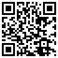 91轻量版app