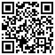 CHAT GPT 国内版