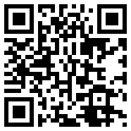老鸟i主题APP 1.1通用版