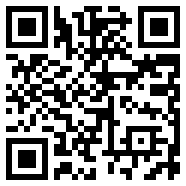 脑叶公司wiki