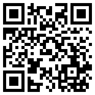 黑洞vp4.0.2